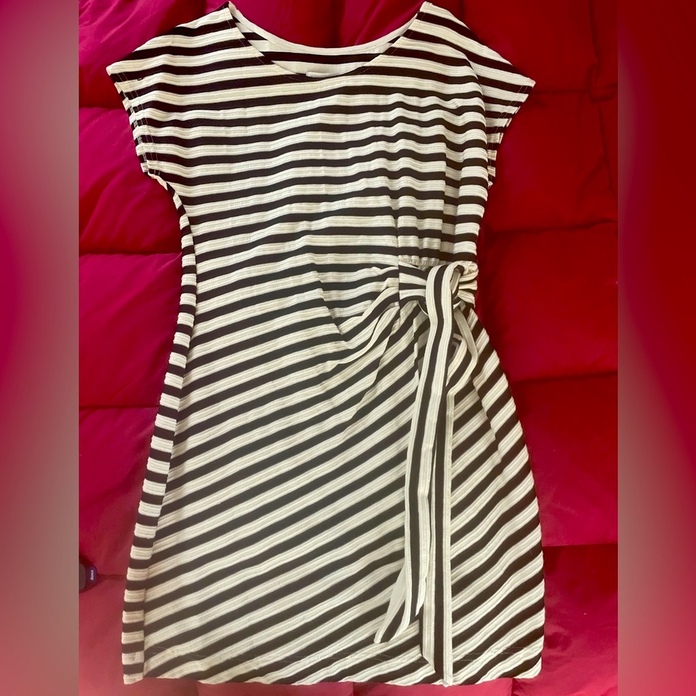 Adorable casual or business dress by Saturday Sunday